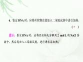 2023届高考生物二轮复习微专题3基因工程及生物技术的安全性与伦理问题课件