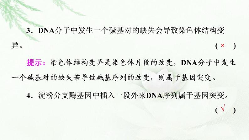 2023届高考生物二轮复习微专题3生物的变异和进化课件第4页