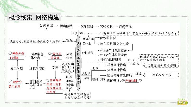 2023届高考生物二轮复习微专题3遗传定律、伴性遗传和人类遗传病课件02