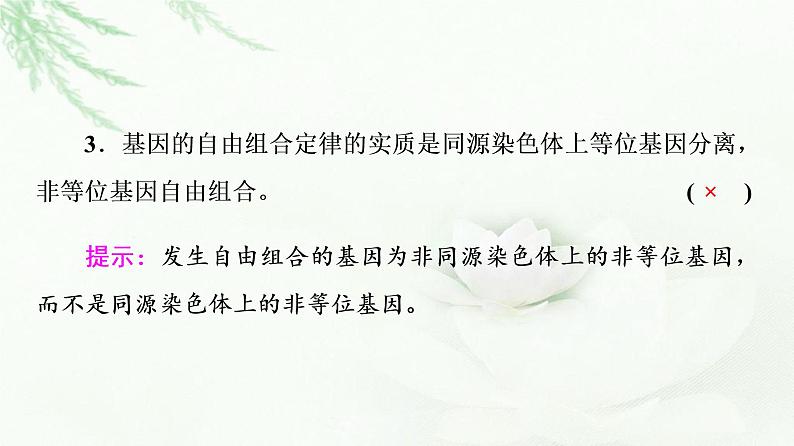 2023届高考生物二轮复习微专题3遗传定律、伴性遗传和人类遗传病课件05