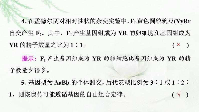 2023届高考生物二轮复习微专题3遗传定律、伴性遗传和人类遗传病课件06