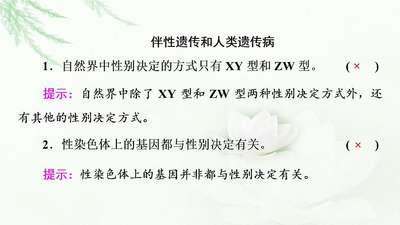 2023届高考生物二轮复习微专题3遗传定律、伴性遗传和人类遗传病课件07