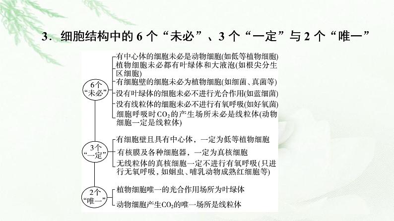 2023届高考生物二轮复习专项易错易混-教材要点课件第5页