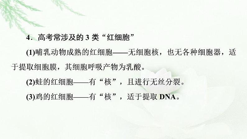 2023届高考生物二轮复习专项易错易混-教材要点课件第6页