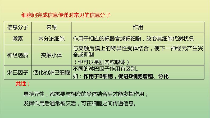 2023届高考生物二轮复习人体的稳态与调节机制课件第7页