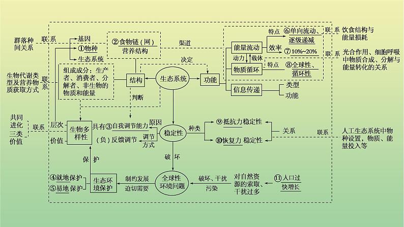 2023届高考生物二轮复习生态系统与环境保护课件第2页