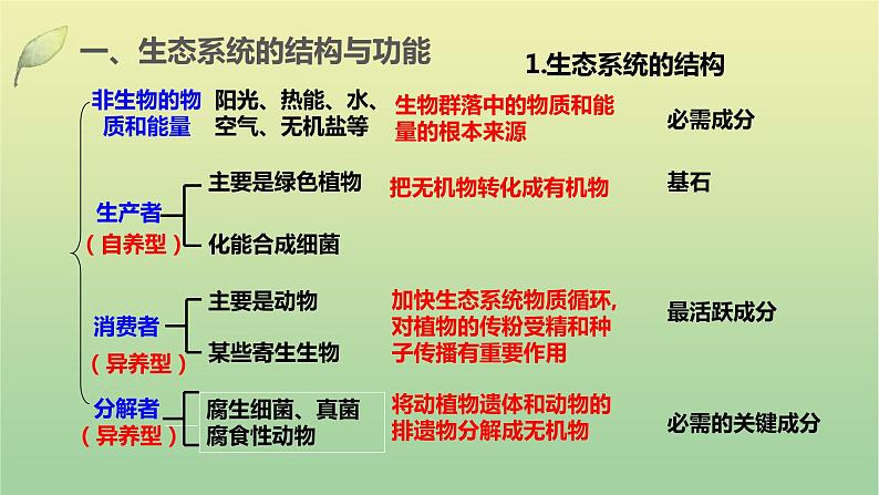 2023届高考生物二轮复习生态系统与环境保护课件第3页