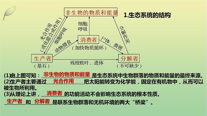 2023届高考生物二轮复习生态系统与环境保护课件第5页