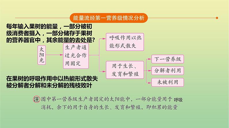 2023届高考生物二轮复习生态系统与环境保护课件第7页