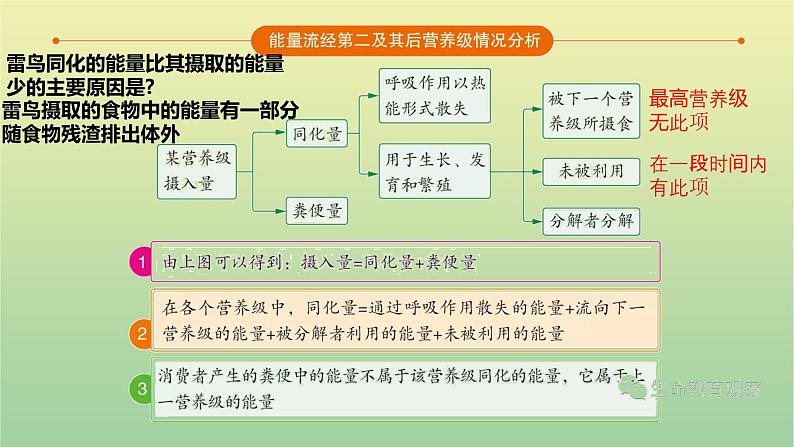 2023届高考生物二轮复习生态系统与环境保护课件第8页