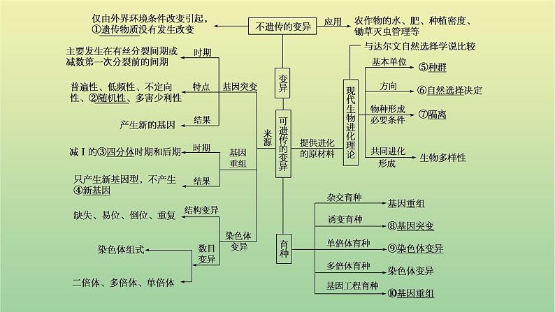 2023届高考生物二轮复习生物的变异、育种与进化课件第2页