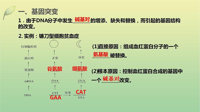 2023届高考生物二轮复习生物的变异、育种与进化课件第3页