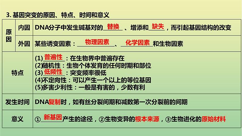 2023届高考生物二轮复习生物的变异、育种与进化课件第4页