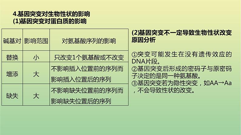 2023届高考生物二轮复习生物的变异、育种与进化课件第5页