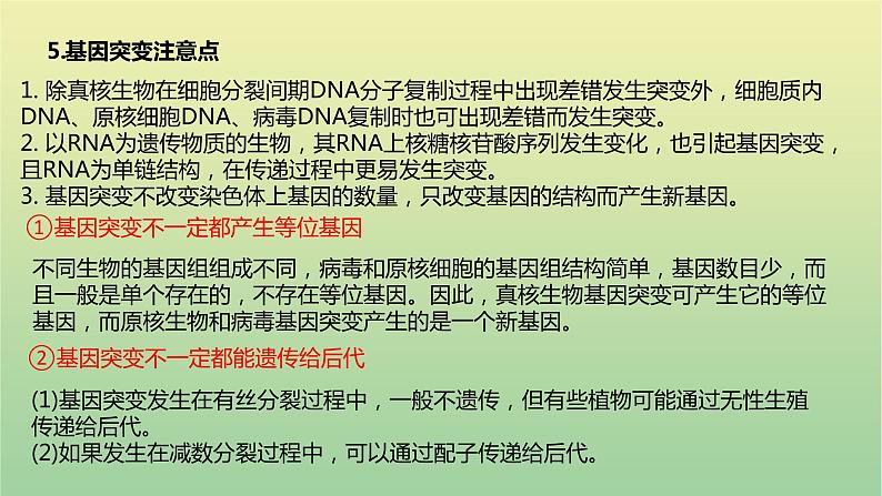 2023届高考生物二轮复习生物的变异、育种与进化课件第6页