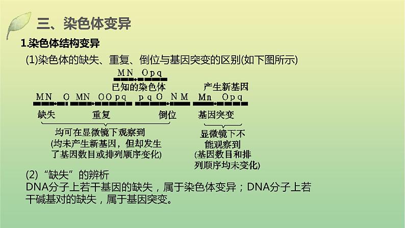 2023届高考生物二轮复习生物的变异、育种与进化课件第8页