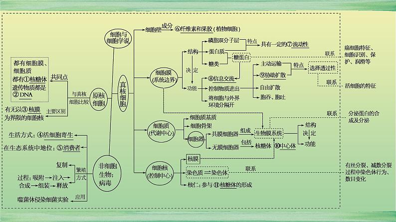 2023届高考生物二轮复习细胞的结构与物质运输课件02