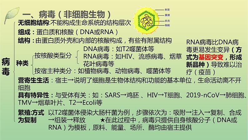 2023届高考生物二轮复习细胞的结构与物质运输课件03