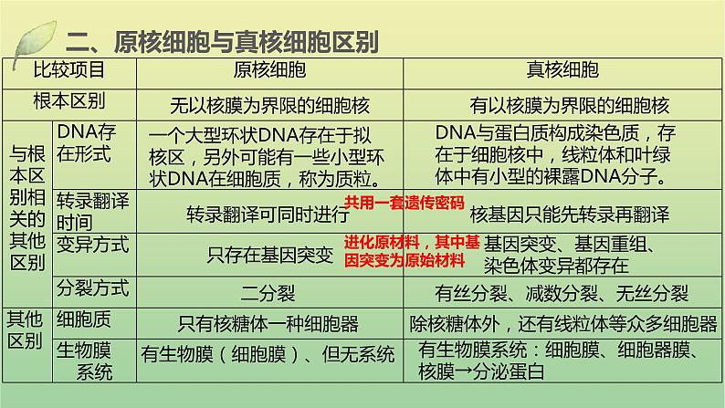 2023届高考生物二轮复习细胞的结构与物质运输课件08