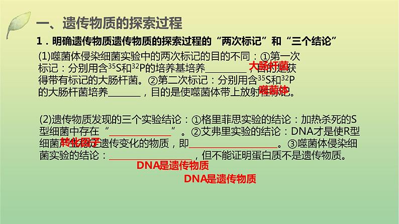 2023届高考生物二轮复习遗传的分子基础课件第3页