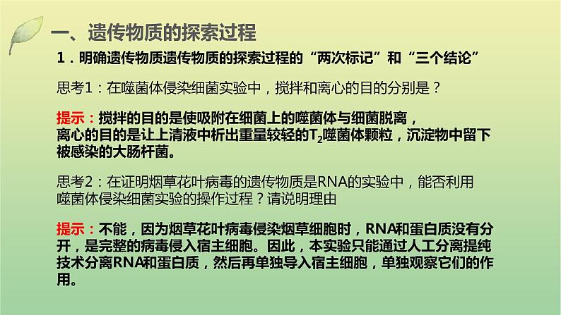 2023届高考生物二轮复习遗传的分子基础课件第5页