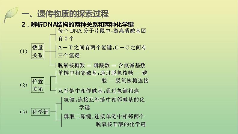 2023届高考生物二轮复习遗传的分子基础课件第6页