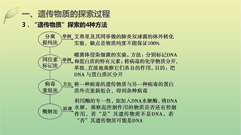 2023届高考生物二轮复习遗传的分子基础课件第7页