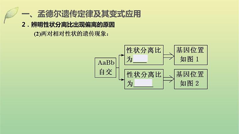 2023届高考生物二轮复习遗传规律与伴性遗传课件06