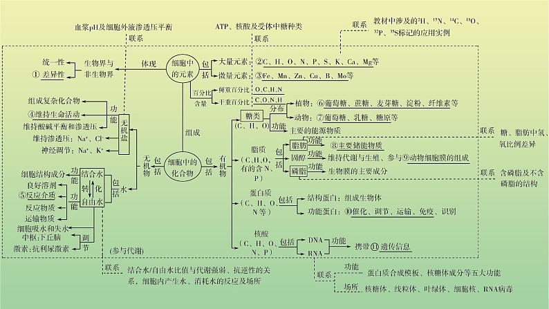 2023届高考生物二轮复习组成细胞的分子课件第3页