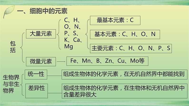 2023届高考生物二轮复习组成细胞的分子课件第4页