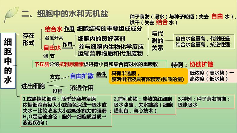 2023届高考生物二轮复习组成细胞的分子课件第8页