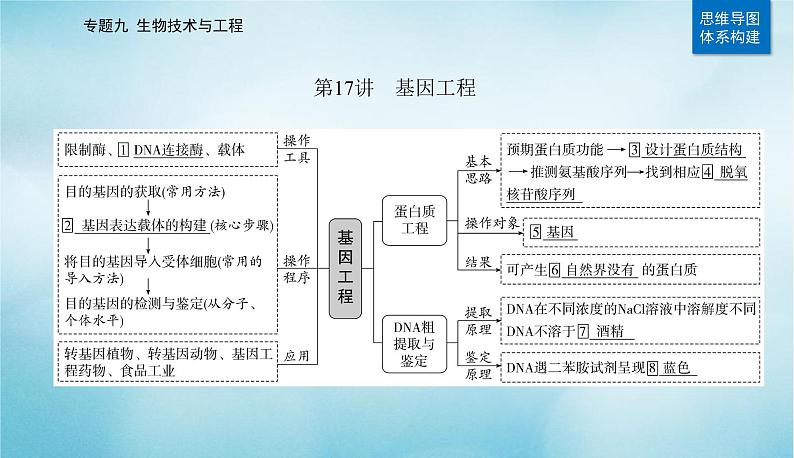 2023届高考生物二轮复习基因工程课件第2页