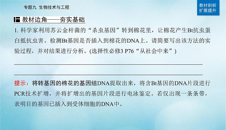 2023届高考生物二轮复习基因工程课件第3页