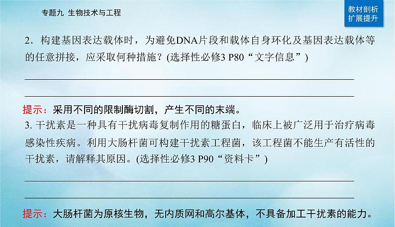 2023届高考生物二轮复习基因工程课件第4页