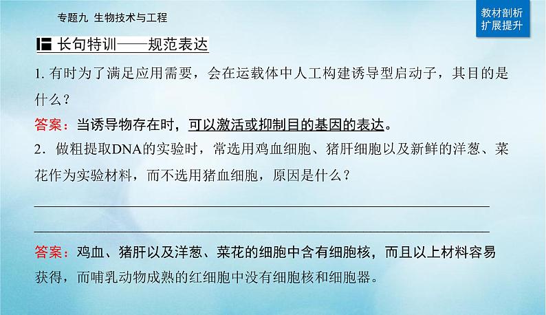 2023届高考生物二轮复习基因工程课件第6页