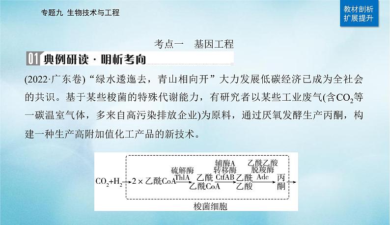 2023届高考生物二轮复习基因工程课件第7页