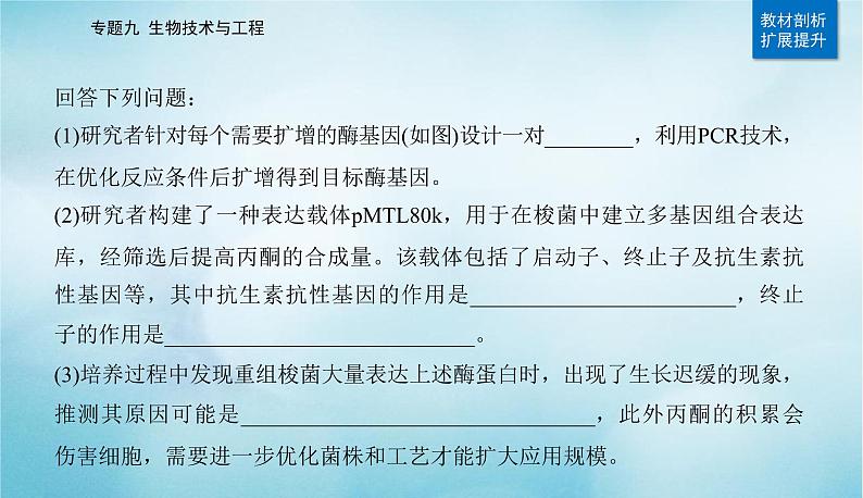 2023届高考生物二轮复习基因工程课件第8页