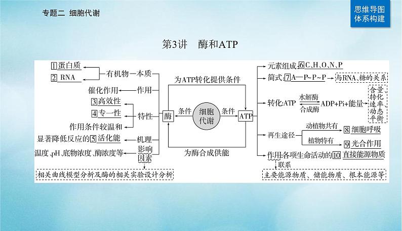 2023届高考生物二轮复习酶和ATP课件第2页