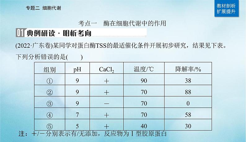 2023届高考生物二轮复习酶和ATP课件第7页