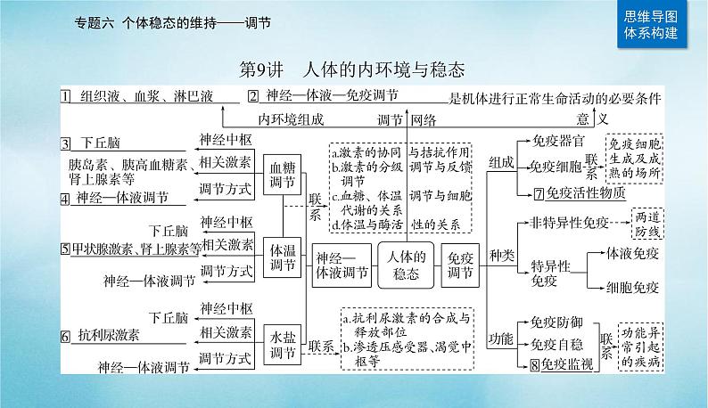 2023届高考生物二轮复习人体的内环境与稳态课件第2页