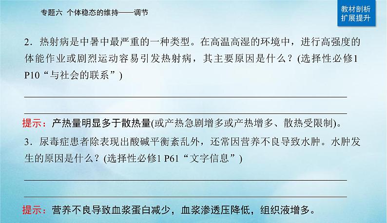 2023届高考生物二轮复习人体的内环境与稳态课件第4页