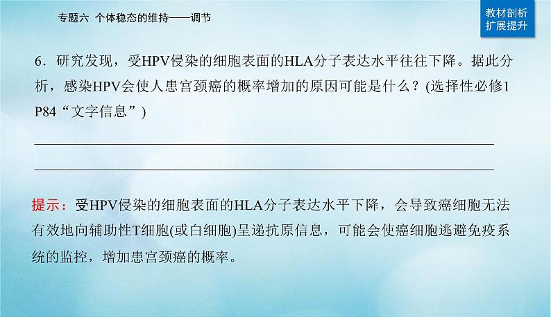 2023届高考生物二轮复习人体的内环境与稳态课件第6页