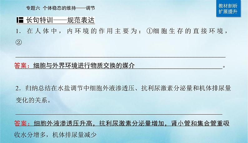 2023届高考生物二轮复习人体的内环境与稳态课件第7页