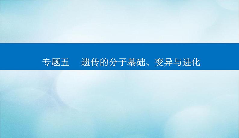 2023届高考生物二轮复习生物的变异与进化课件第1页