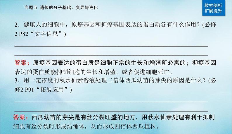 2023届高考生物二轮复习生物的变异与进化课件第4页