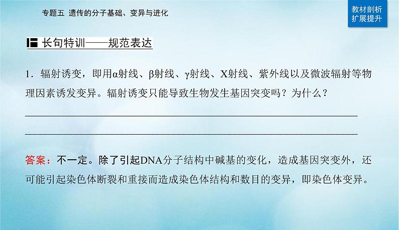 2023届高考生物二轮复习生物的变异与进化课件第6页