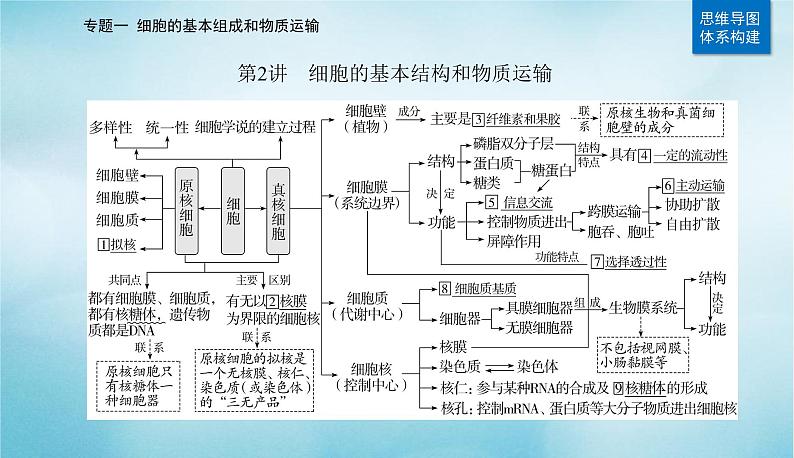 2023届高考生物二轮复习细胞的基本结构和物质运输课件第2页