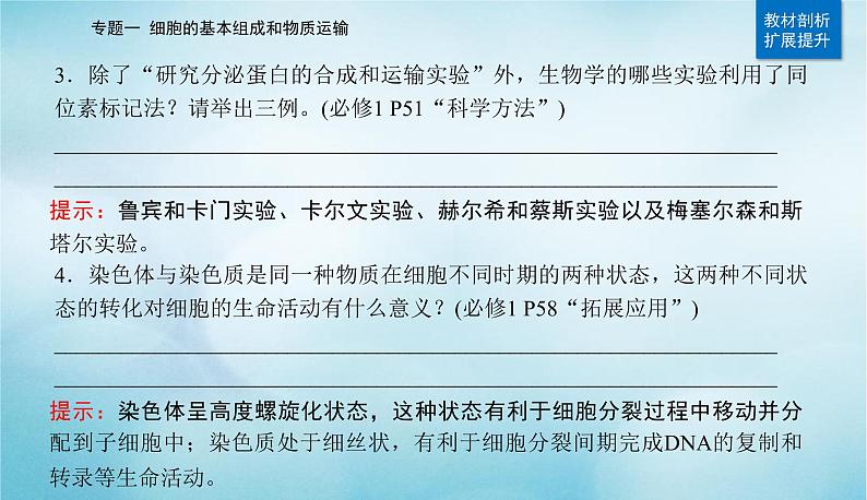 2023届高考生物二轮复习细胞的基本结构和物质运输课件第4页