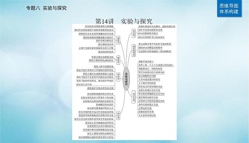 2023届高考生物二轮复习实验与探究课件第2页