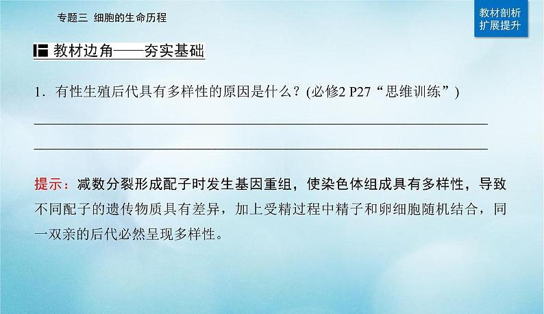 2023届高考生物二轮复习细胞的生命历程(含减数分裂和受精作用)课件第3页